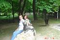 bankut_lillafured (28)